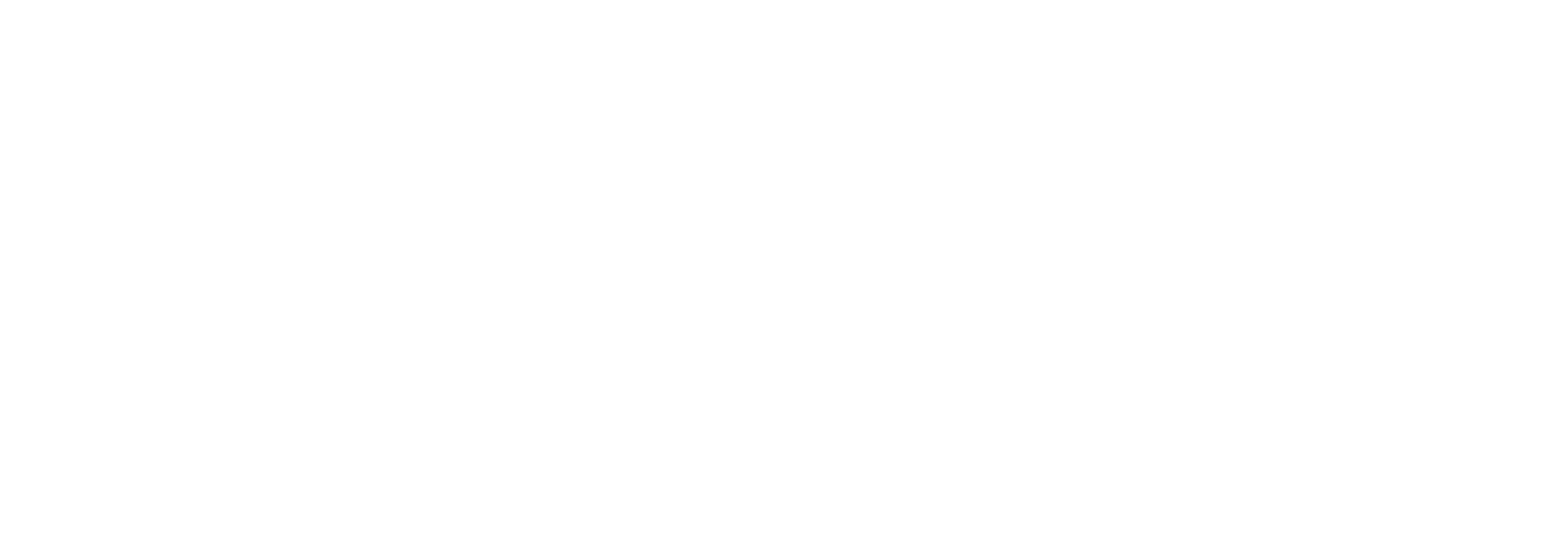 FLIR_RGB_tagline_01_White