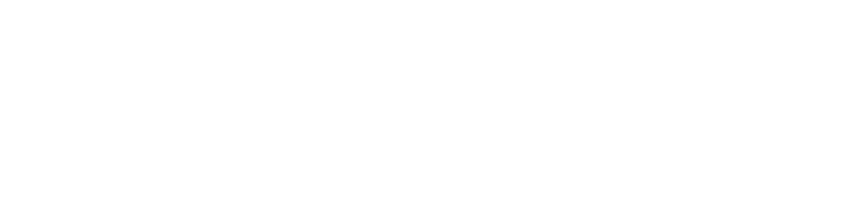 Tdy-Flir-Marine-L-stack-White-Rgb-1200px-w-72ppi